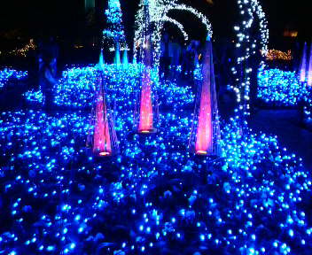 2009112320530000