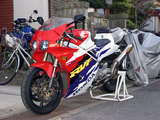 RVF��