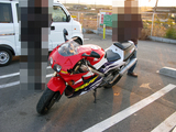 RVF