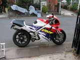 RVF��