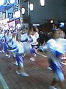 301f012c.jpg