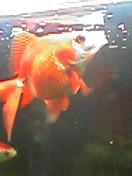 050609_1702001.jpg