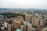 �饤���󥺥�����椫���į��