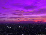 �ȥ磻�饤��