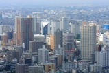 ���륶���55�����į��