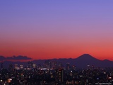 �ȥ磻�饤���ٻ� 1600-1200