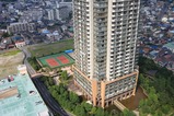 ���륶���32���鸫�����륶���55