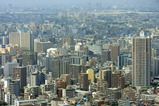 ���륶���55������������į��