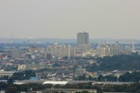 �饤���󥺥�����椫���į��