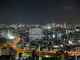 �ꥬ�������ܶ��ͷ�Į��������
