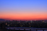 �ȥ磻�饤��