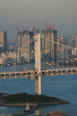 THE TOKYO TOWERS