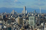 �����ҥӡ��륿�������������
