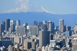 タワーホール船堀からの眺め