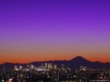 �ȥ磻�饤���ٻ�-1600-1200