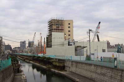 ����������ĥ꡼�η��߸���
