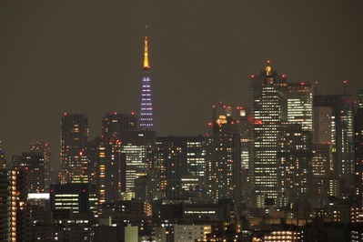 東京タワー ダイヤモンドヴェール・ホワイトダイヤモンド