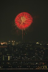 �������޻Բֲ����