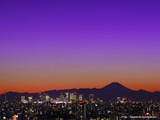 �ȥ磻�饤���ٻ�-1024-768