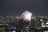 ����褵�����βֲ�