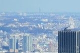 牛久大仏
