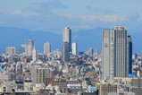 タワーホール船堀からの眺め