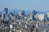 タワーホール船堀からの眺め