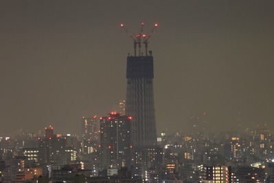 �⤵205m�ˤʤä�����������ĥ꡼�����