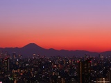 �ȥ磻�饤���ٻ� 1600-1200