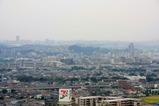 �饤���󥺥�����椫���į��