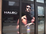 HALEO��MAN