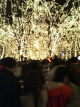 光P