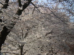 ����2009�գ�