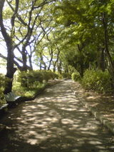 緑道