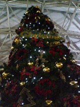 クリスマスツリー
