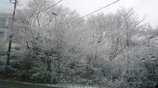 雪景色