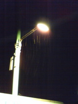 電柱と雪