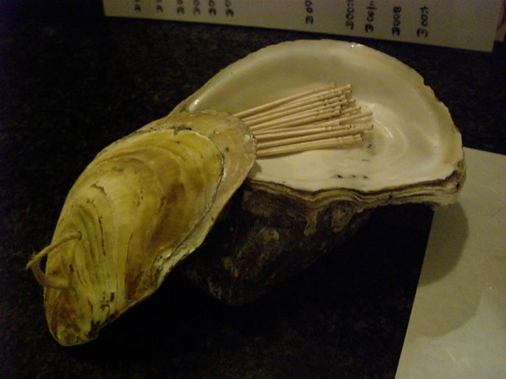 爪楊枝