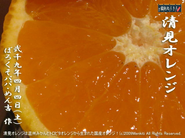 4／4（土）【清見オレンジ】清見オレンジは温州みかんとトロビタオレンジから生まれた国産オレンジ！
＠キャツピ＆めん吉の【ぼろくそパパの独り言】
　　　　　▼クリックで元の画像が拡大します。
