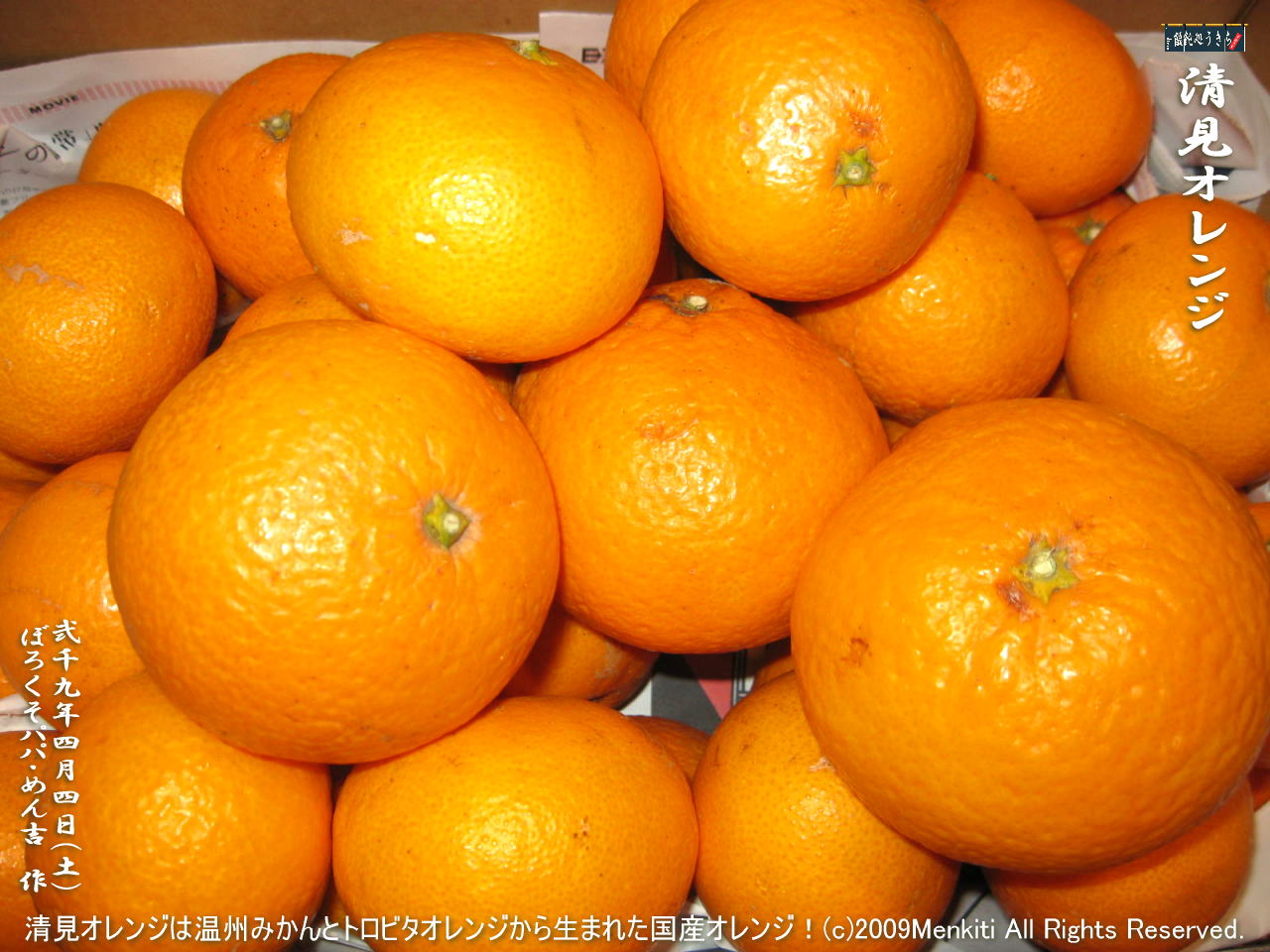 4／4（土）【清見オレンジ】清見オレンジは温州みかんとトロビタオレンジから生まれた国産オレンジ！＠キャツピ＆めん吉の【ぼろくそパパの独り言】
　　　　▼クリックで1280x960pxlsに拡大します。