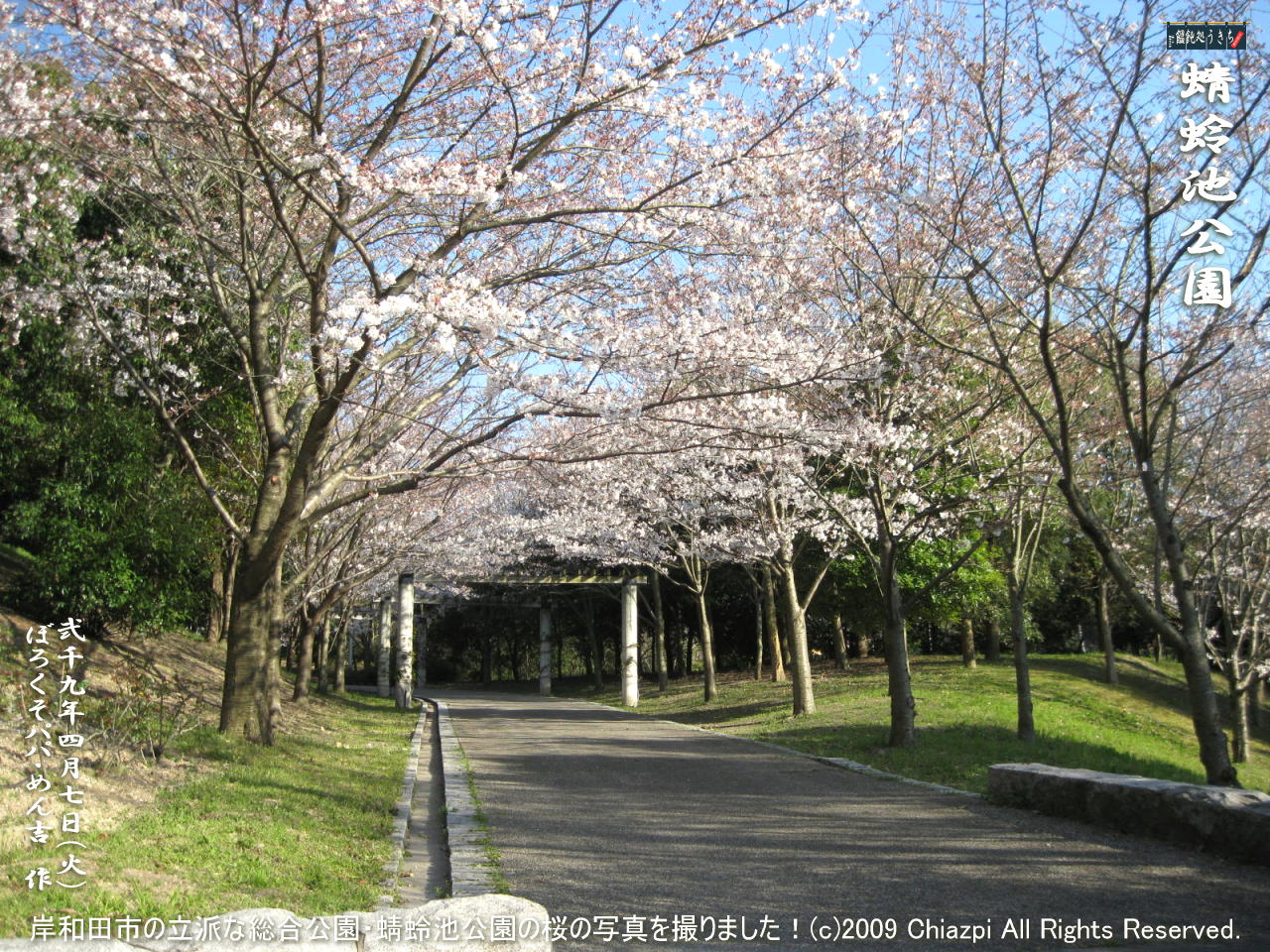 4／7（火）【蜻蛉池公園】岸和田市の立派な総合公園・蜻蛉池公園の桜の写真を撮りました！＠キャツピ＆めん吉の【ぼろくそパパの独り言】
　　　　▼クリックで1280x960pxlsに拡大します。