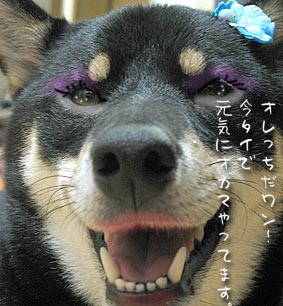 ������祵�󡪥����ƥ��å��͡���