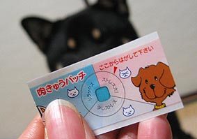 ��������˸����ޤ���ʿ�µ������