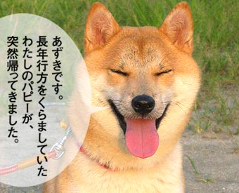 ��Ʀ�Ǥ����顼���ҥ���ä�ɡ����Ω���ʤ��ʤ�ޤ�����