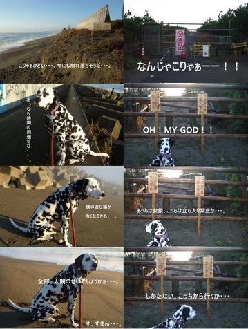 ボスのひとりごと
