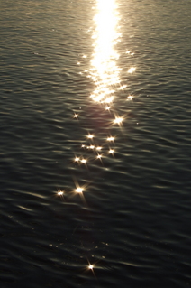 DSCF0536