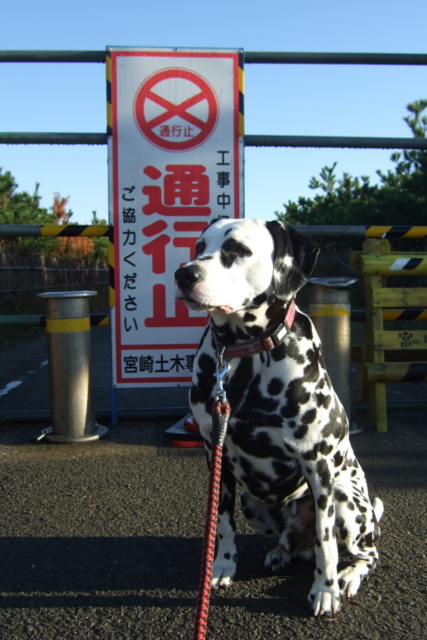 DSCF9216