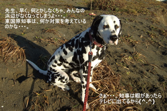 DSCF9172-1