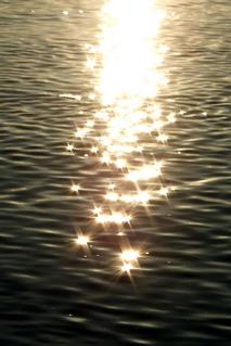 DSCF0533