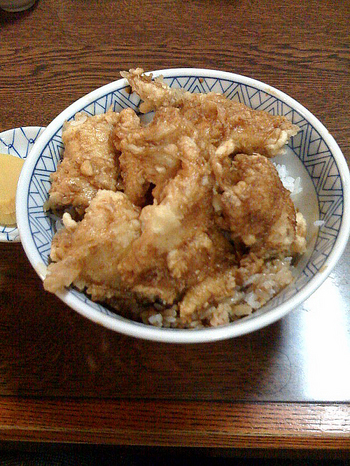 ikadon